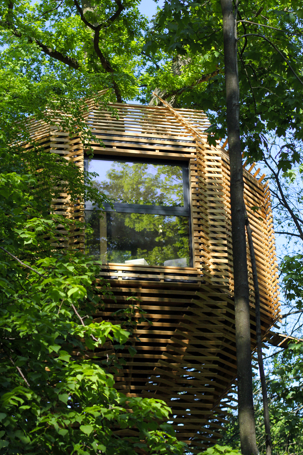 Atelier+LAVIT+-+ORIGIN+trees+house+19